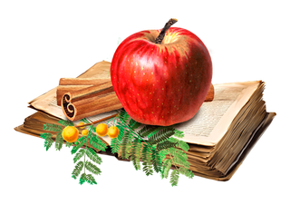 Lady Joseph - Vegansk Kjeks med Eplepai - smak - COLORPOP