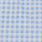 Light Blue Gingham