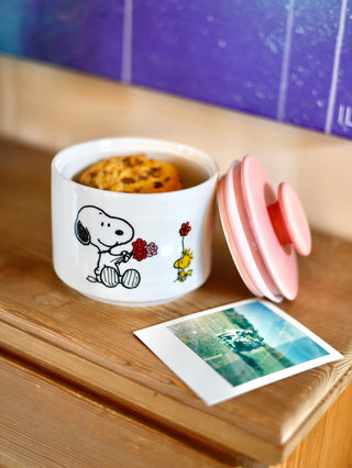 Magpie - Peanuts Candy Jar - Love is in Bloom - COLORPOP