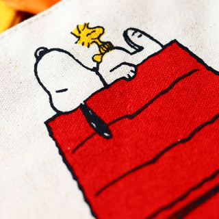Magpie - Peanuts Gang and House Pouch - COLORPOP