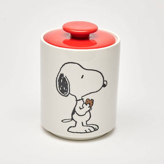 Magpie - Peanuts Snoopy Cookie Jar - COLORPOP