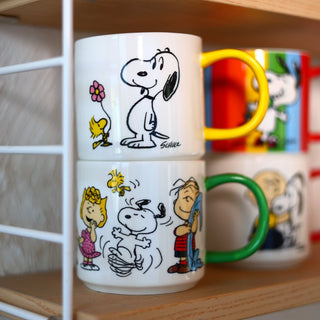 Magpie - Snoopy Kopp - Friends Forever - COLORPOP