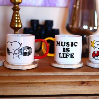 Magpie - Snoopy Kopp - Music is Life Vinyl - COLORPOP