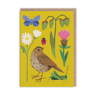 Ohh Deer - Mini gratulasjonskort – Fugl og markblomster - COLORPOP