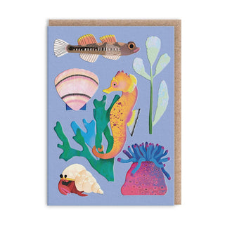 Ohh Deer - Mini gratulasjonskort – Livet i sjøen - COLORPOP