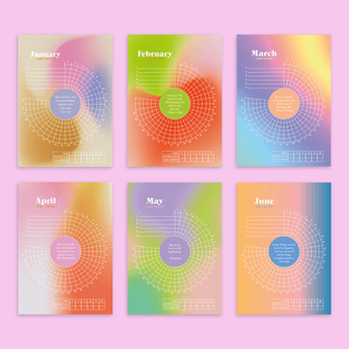 Once Upon a Tuesday - Daily Habit Tracker - 12 Month Goal Planner - COLORPOP