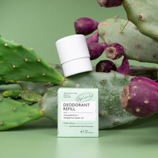 UpCircle - UpCircle Deodorant Refill – Macadamia og bergamott (uten etui) - COLORPOP