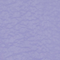 Wisteria