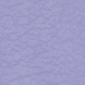wisteria