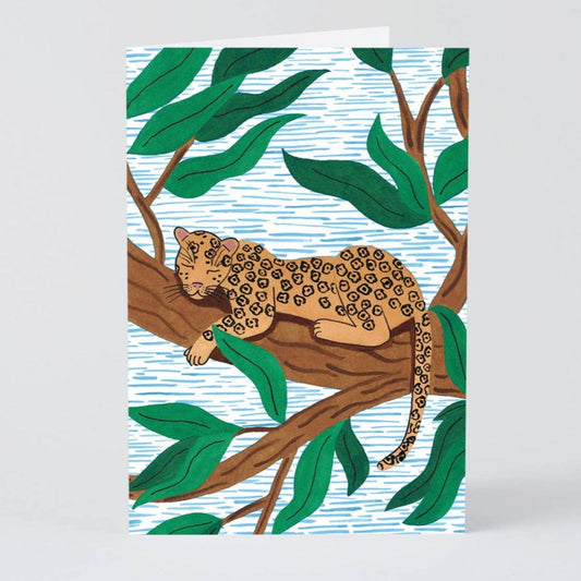 Wrap - ‘Leopard’ Kort - COLORPOP