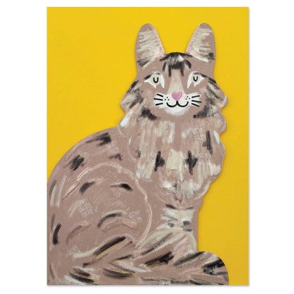 Maine Coon Cat Kort