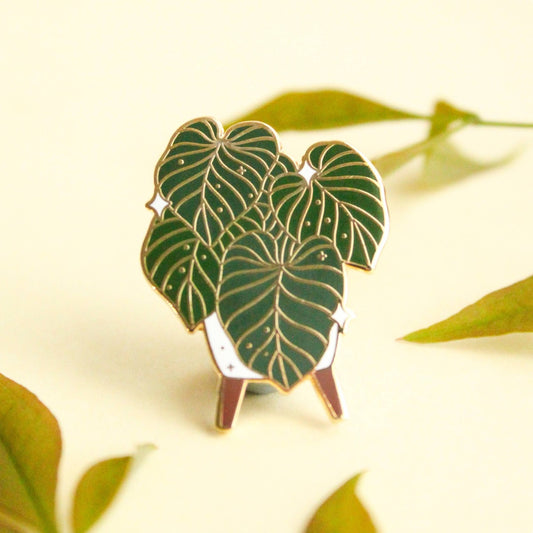 Philodendron Gloriosum Pins