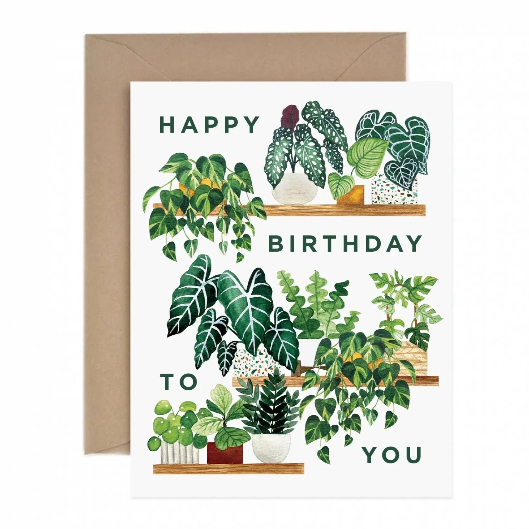 Paper Anchor Co. - Plant Shelf Happy Birthday Card - COLORPOP