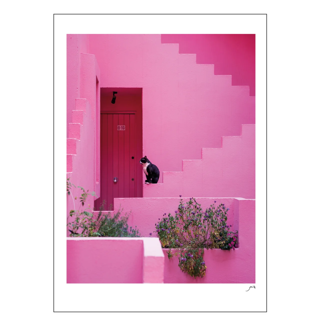 FLIP - Pink Panther 50 x 70 cm