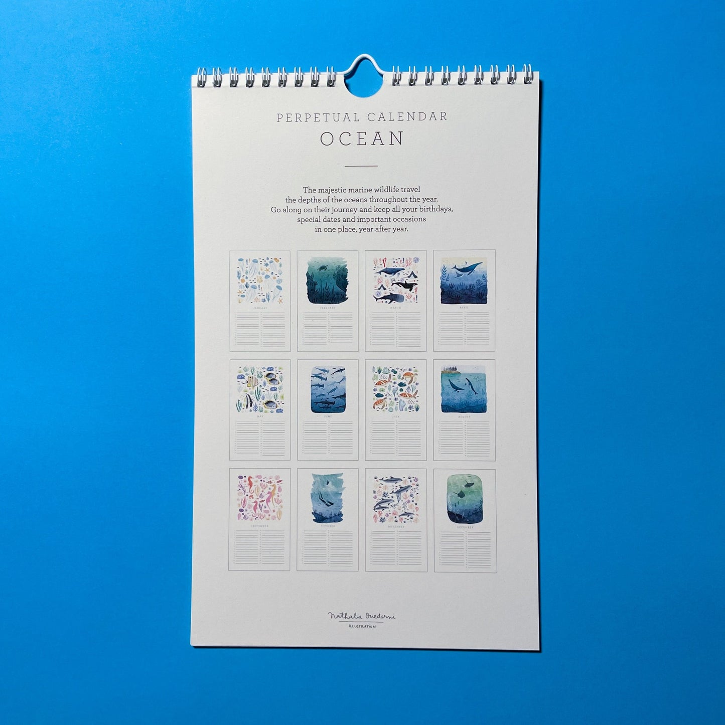 Nathalie Ouderni Illustration - Ocean Birthday Calendar - COLORPOP